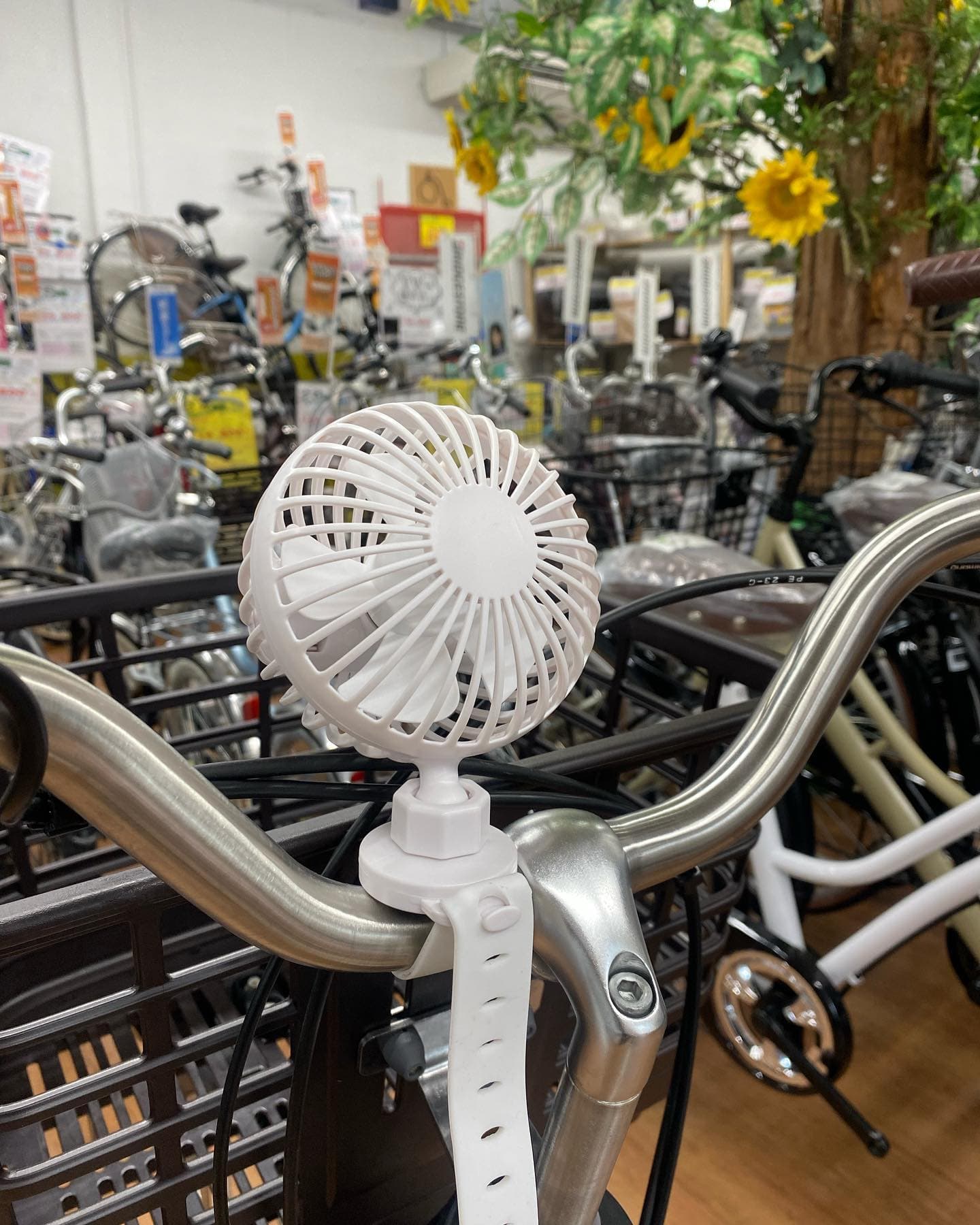 サイクリングファン
