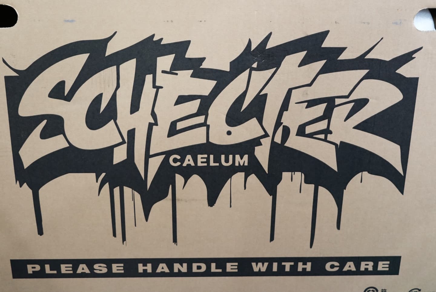 Schecter CAELUM サブ画像9